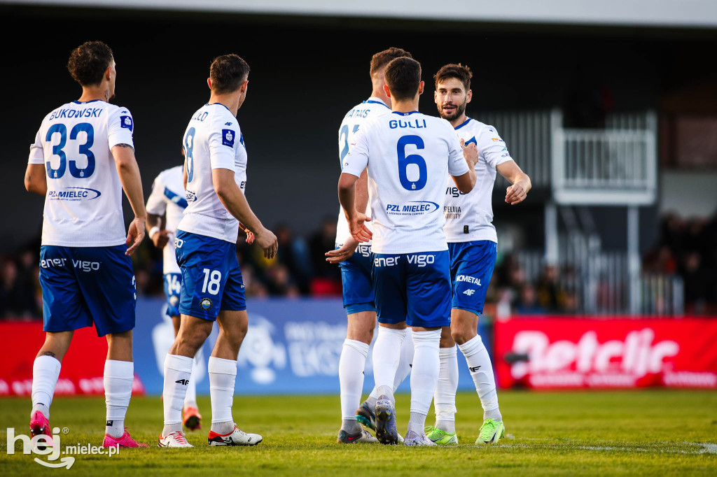 Puszcza Niepołomice - FKS Stal Mielec