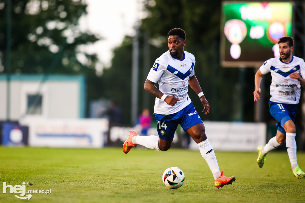 Puszcza Niepołomice - FKS Stal Mielec