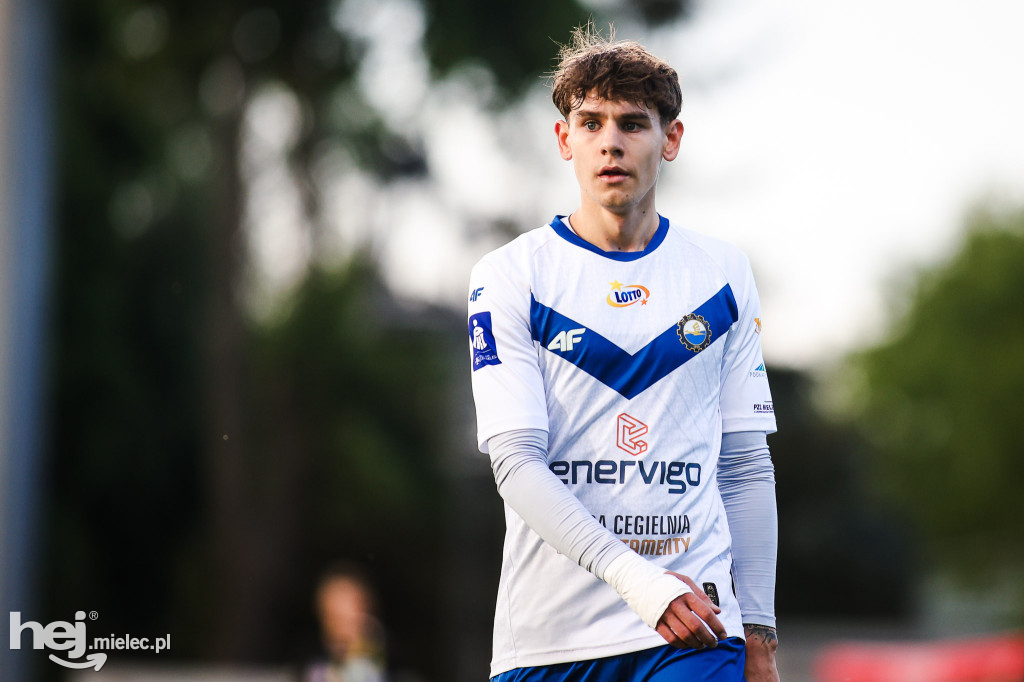 Puszcza Niepołomice - FKS Stal Mielec