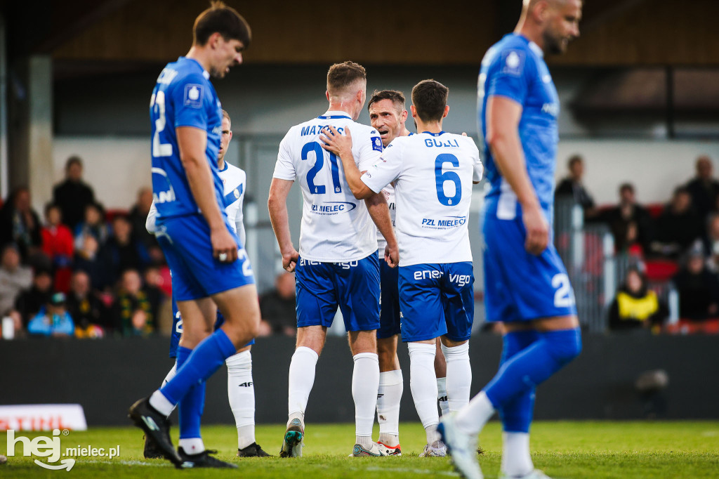 Puszcza Niepołomice - FKS Stal Mielec