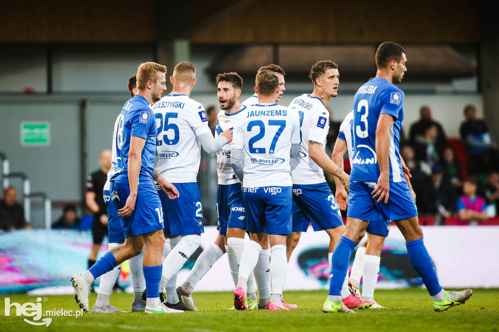 Puszcza Niepołomice - FKS Stal Mielec