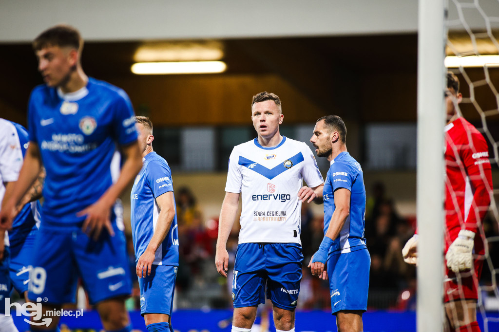 Puszcza Niepołomice - FKS Stal Mielec