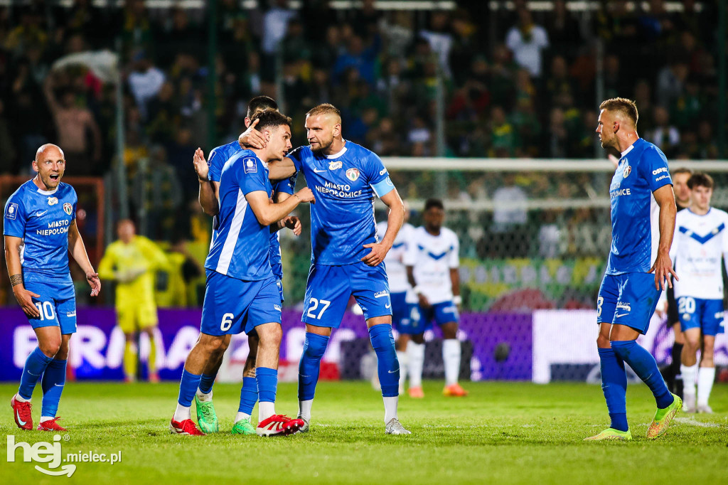 Puszcza Niepołomice - FKS Stal Mielec