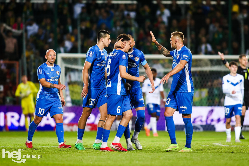 Puszcza Niepołomice - FKS Stal Mielec