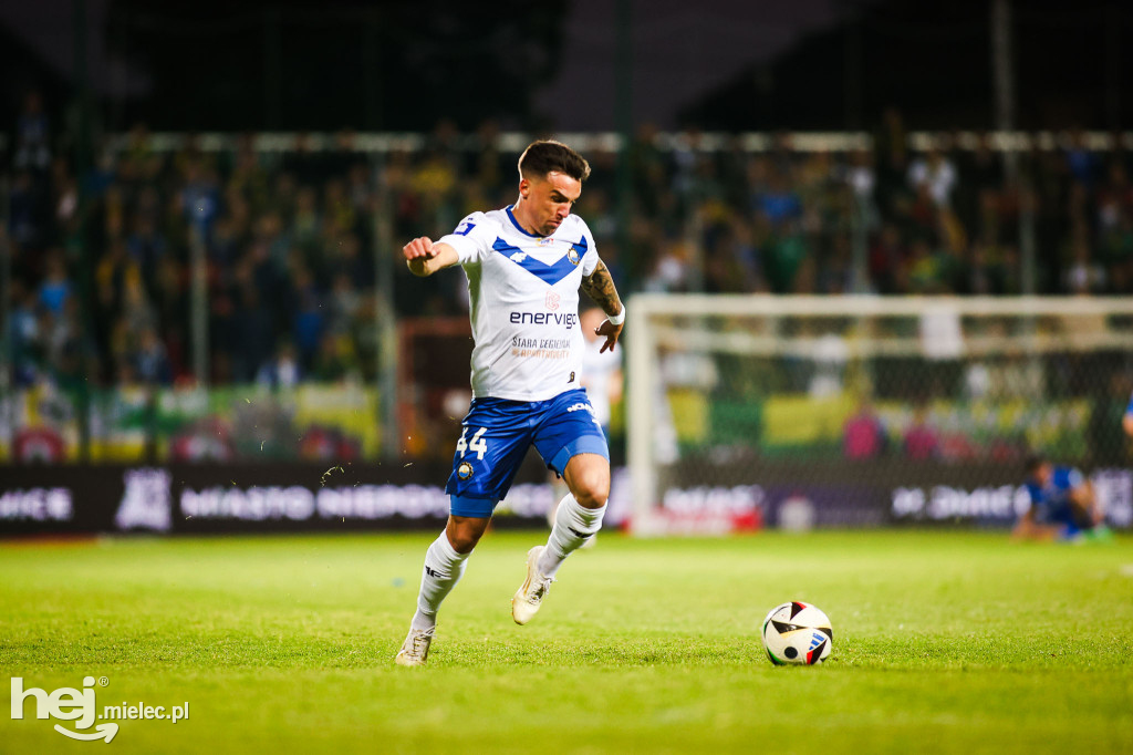 Puszcza Niepołomice - FKS Stal Mielec
