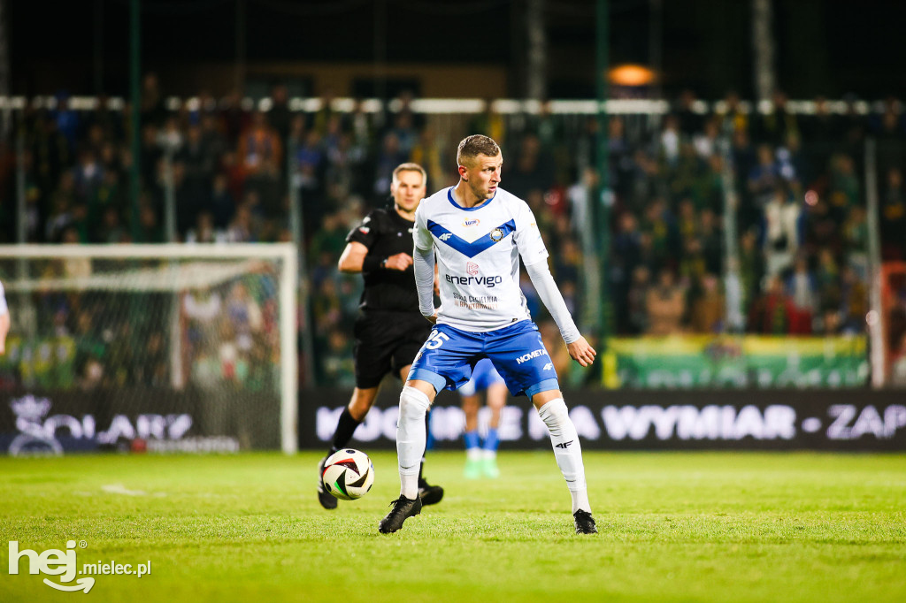 Puszcza Niepołomice - FKS Stal Mielec