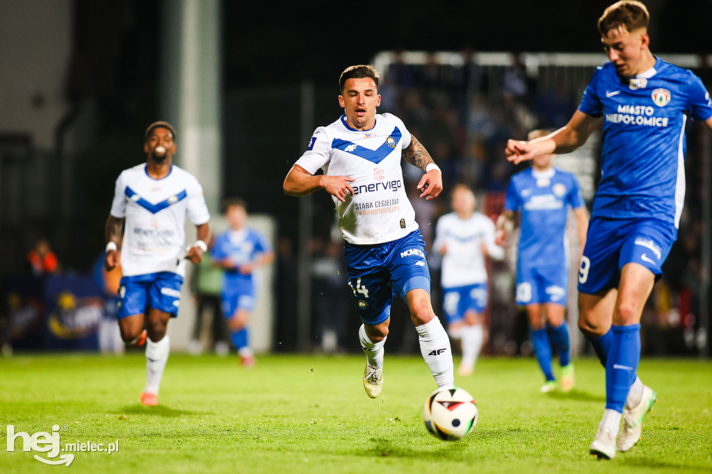 Puszcza Niepołomice - FKS Stal Mielec