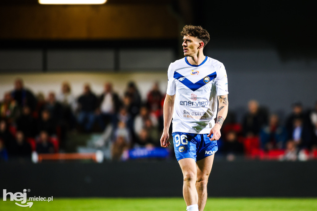 Puszcza Niepołomice - FKS Stal Mielec