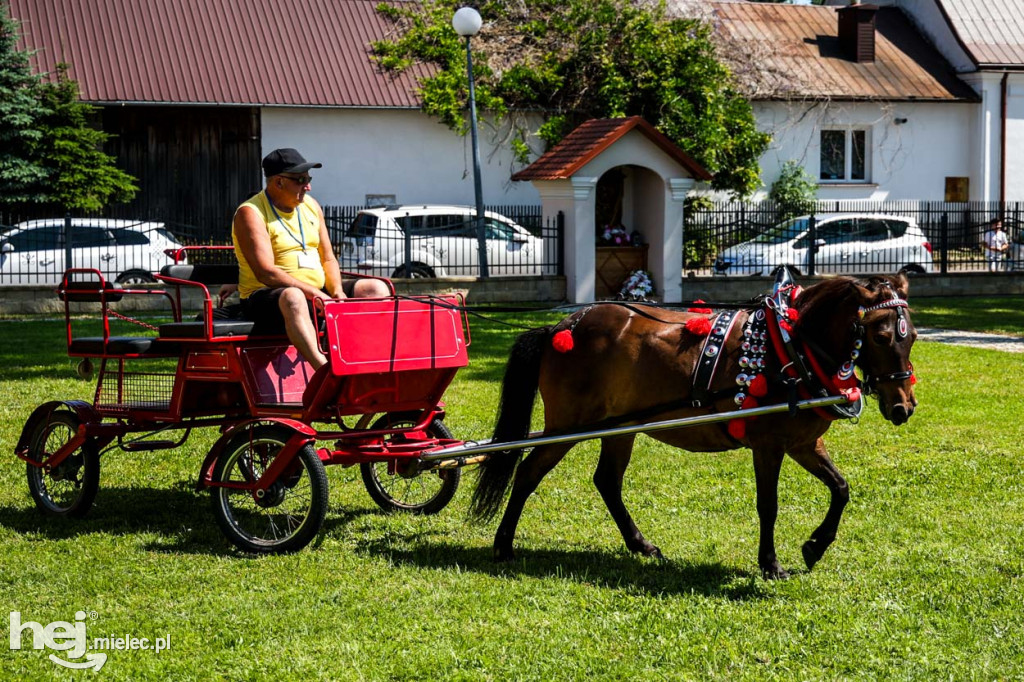 XX Festyn Parafialny na Osiedlu Rzochów