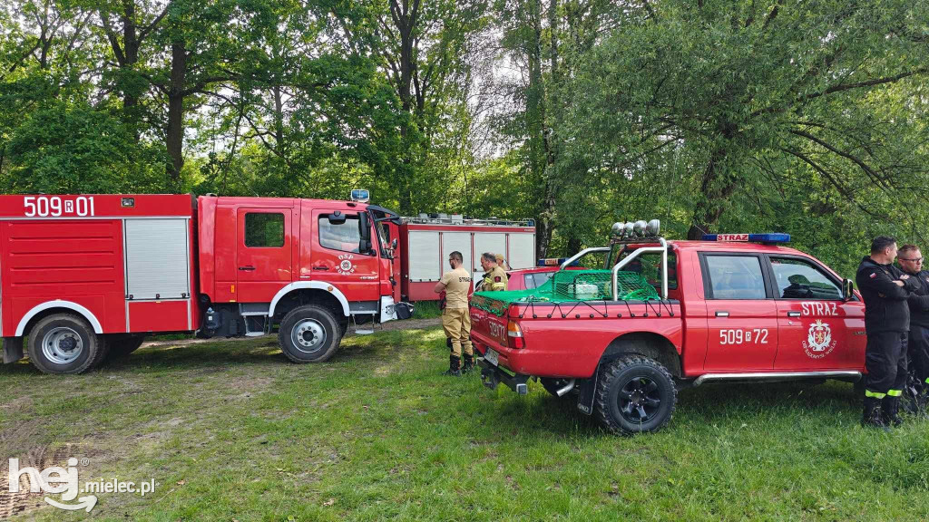 Ćwiczenia straży pożarnych na Stawach Cyranowskich