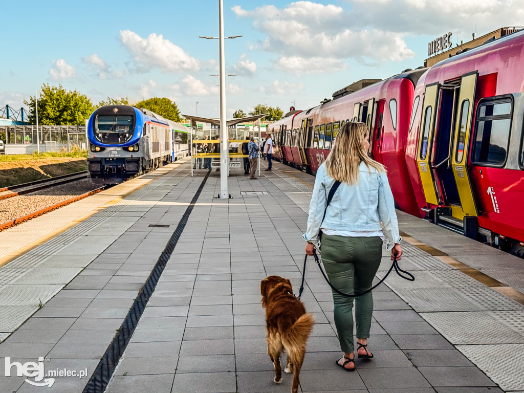 Pociągi Intercity do Mielca cieszą się dużym zainteresowaniem