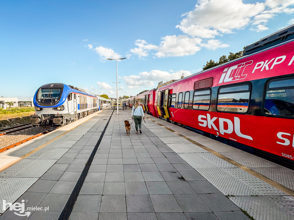 Pociągi Intercity do Mielca cieszą się dużym zainteresowaniem