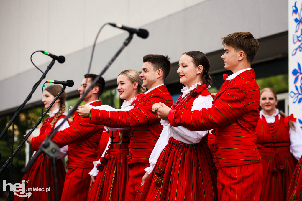 Koncert Rzeszowiaków