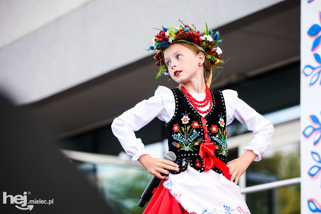 Koncert Rzeszowiaków