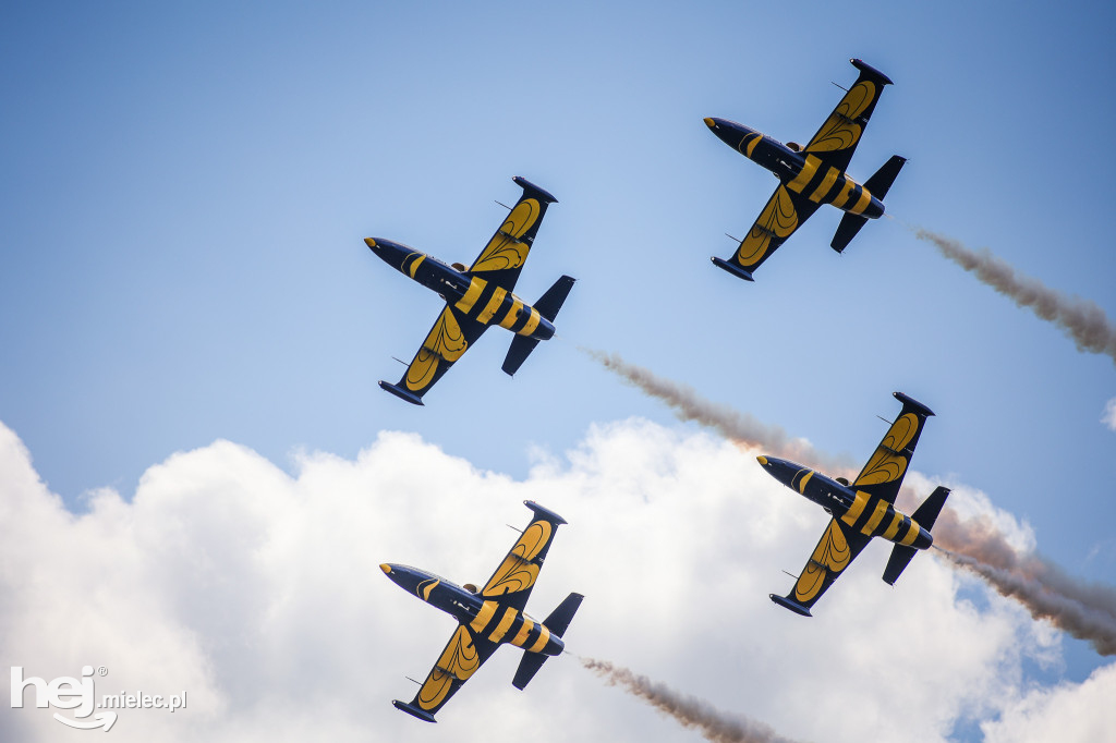 AIR SHOW MIELEC Z WIEŻY LOTNISKA