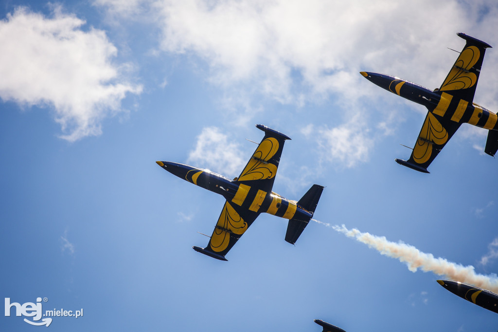 AIR SHOW MIELEC Z WIEŻY LOTNISKA