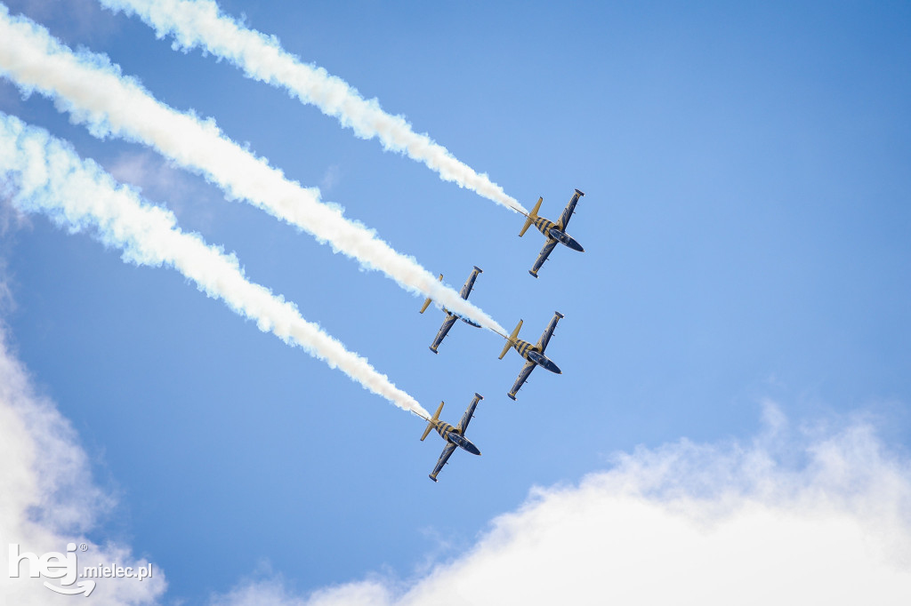 AIR SHOW MIELEC Z WIEŻY LOTNISKA