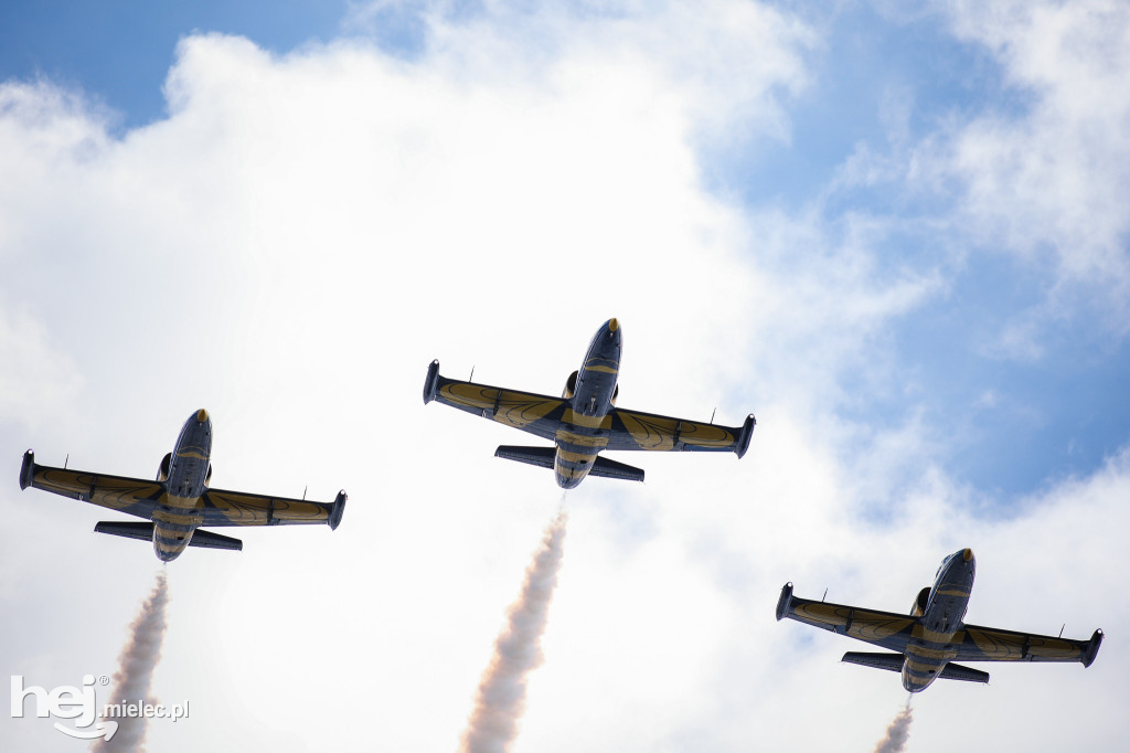 AIR SHOW MIELEC Z WIEŻY LOTNISKA
