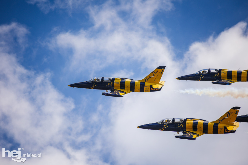 AIR SHOW MIELEC Z WIEŻY LOTNISKA