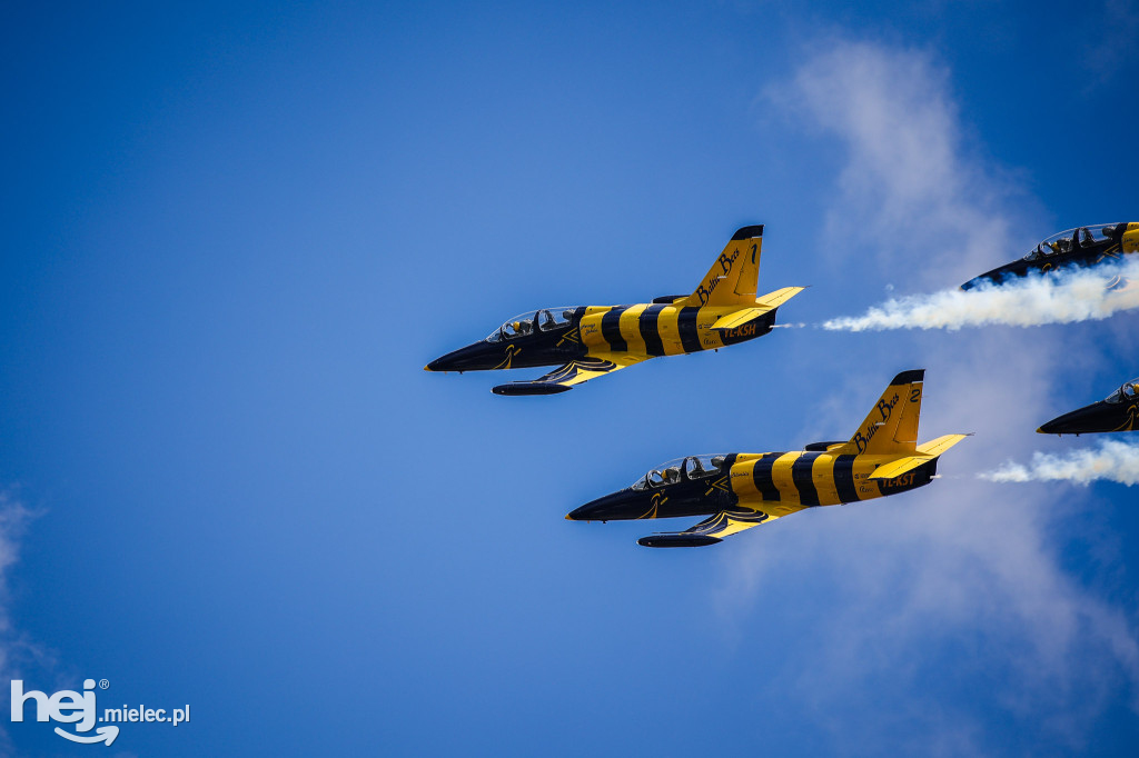 AIR SHOW MIELEC Z WIEŻY LOTNISKA