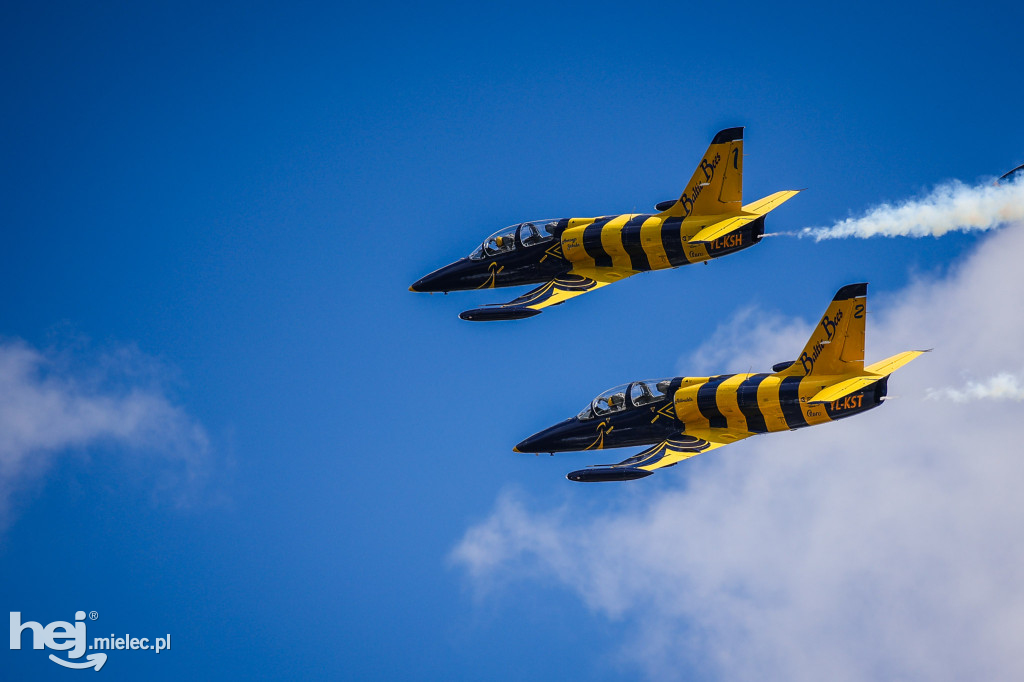 AIR SHOW MIELEC Z WIEŻY LOTNISKA