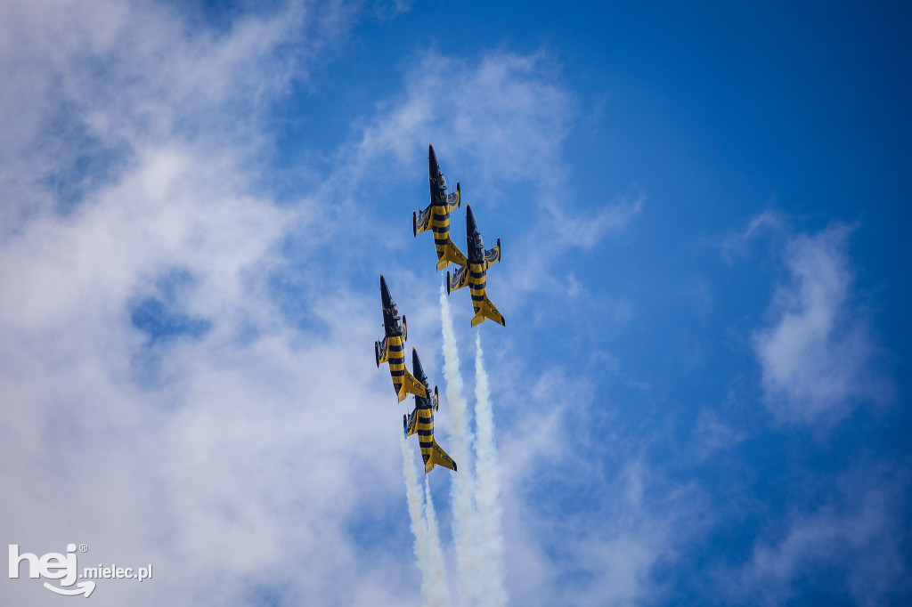 AIR SHOW MIELEC Z WIEŻY LOTNISKA