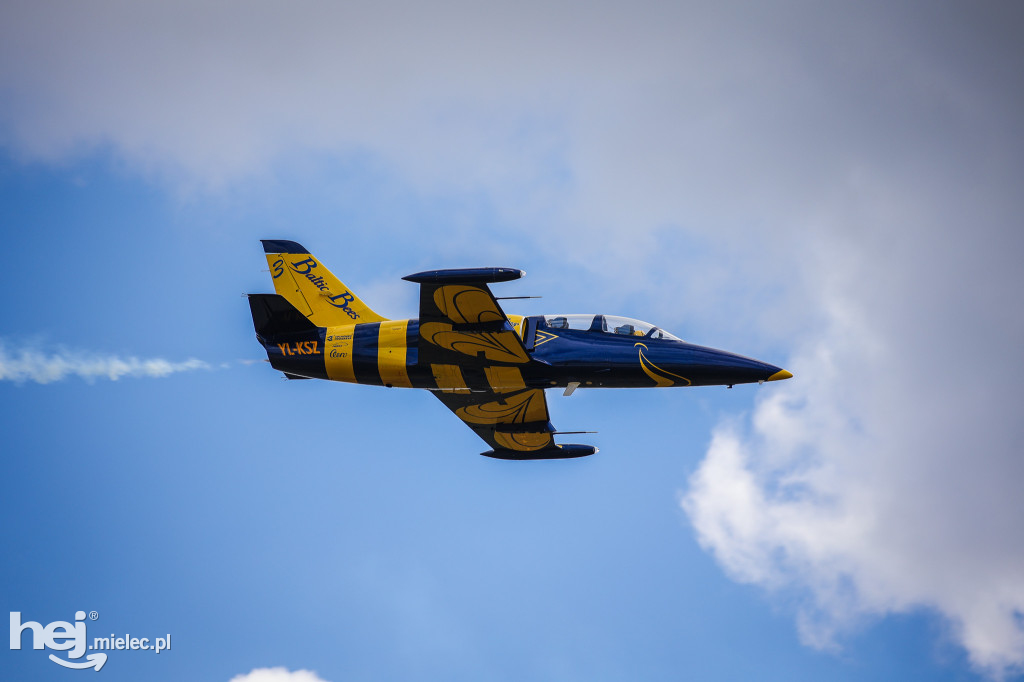 AIR SHOW MIELEC Z WIEŻY LOTNISKA