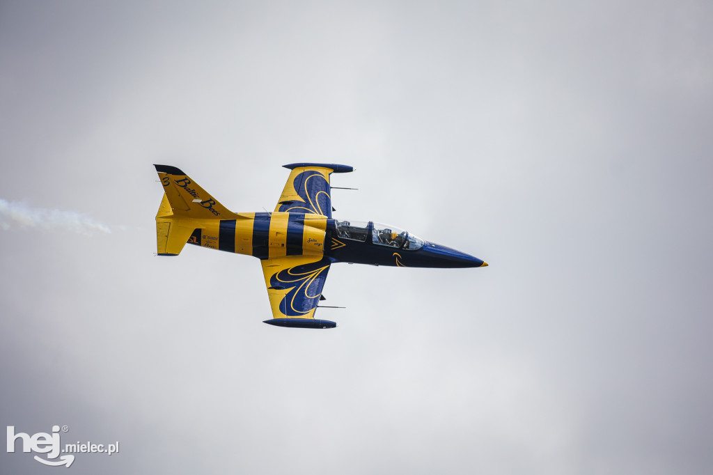 AIR SHOW MIELEC Z WIEŻY LOTNISKA
