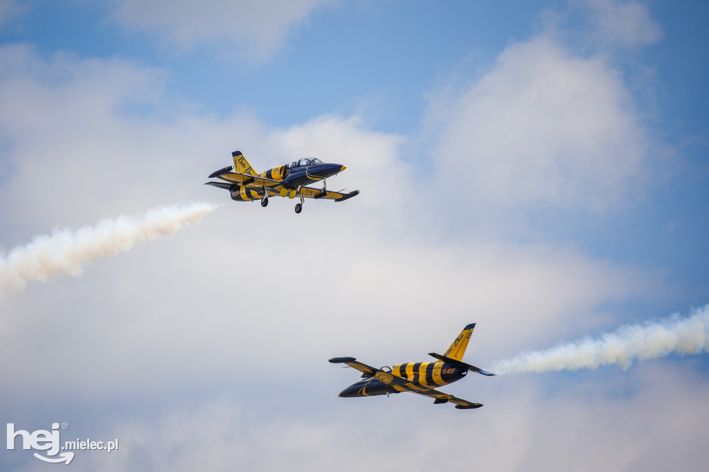 AIR SHOW MIELEC Z WIEŻY LOTNISKA