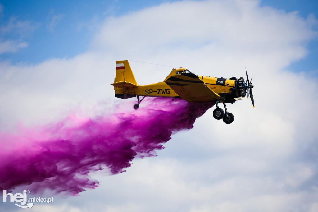 AIR SHOW MIELEC Z WIEŻY LOTNISKA