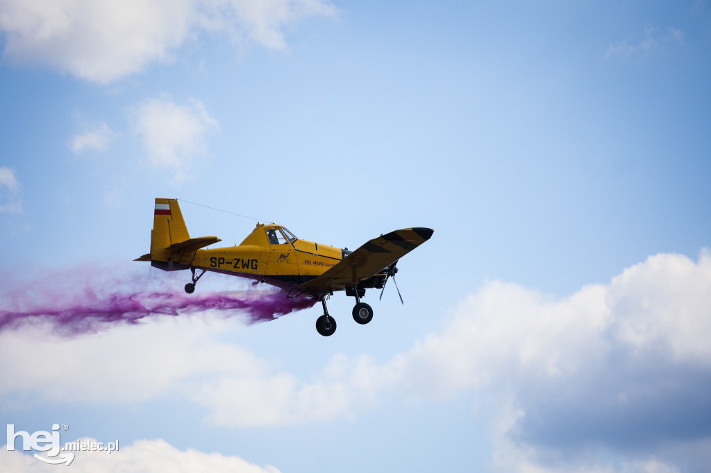 AIR SHOW MIELEC Z WIEŻY LOTNISKA