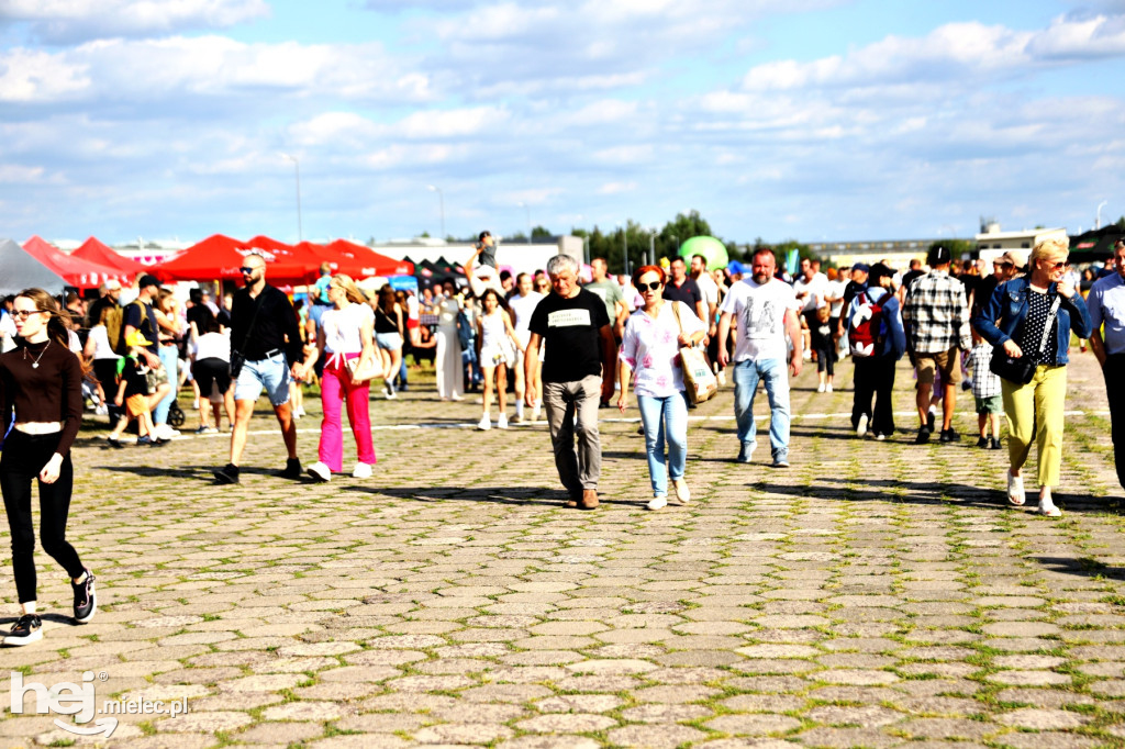 AIR SHOW MIELEC - WIDOWNIA
