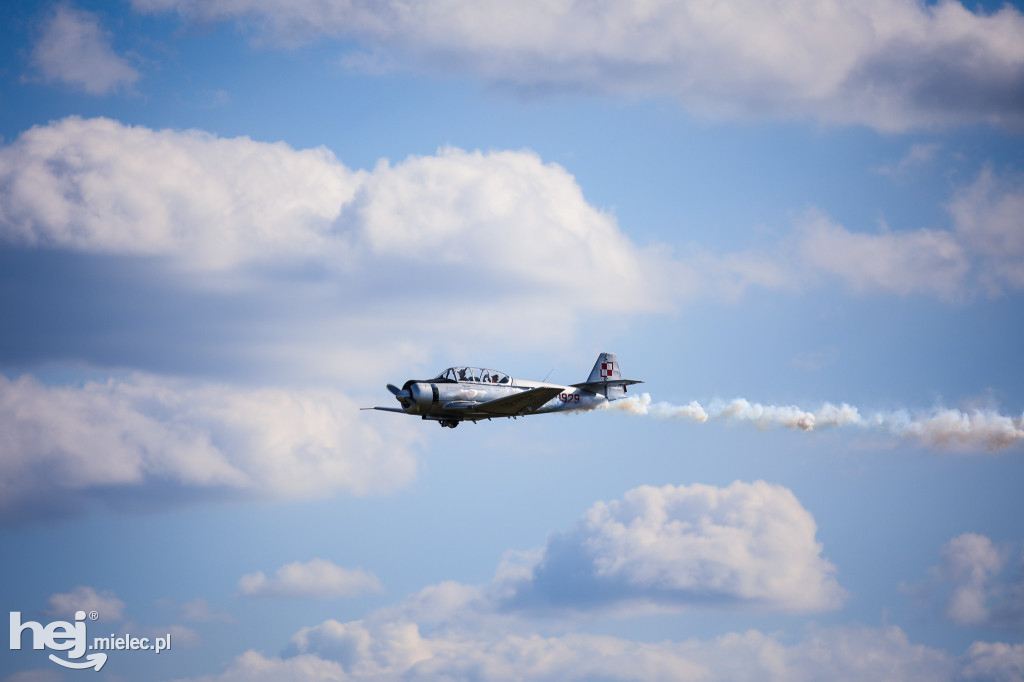 AIR SHOW MIELEC Z WIEŻY LOTNISKA