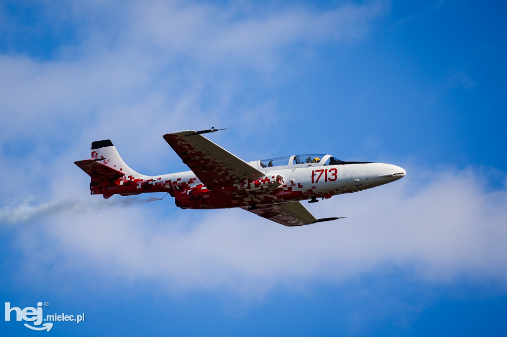 AIR SHOW MIELEC Z WIEŻY LOTNISKA