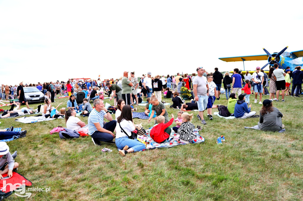 AIR SHOW MIELEC - WIDOWNIA