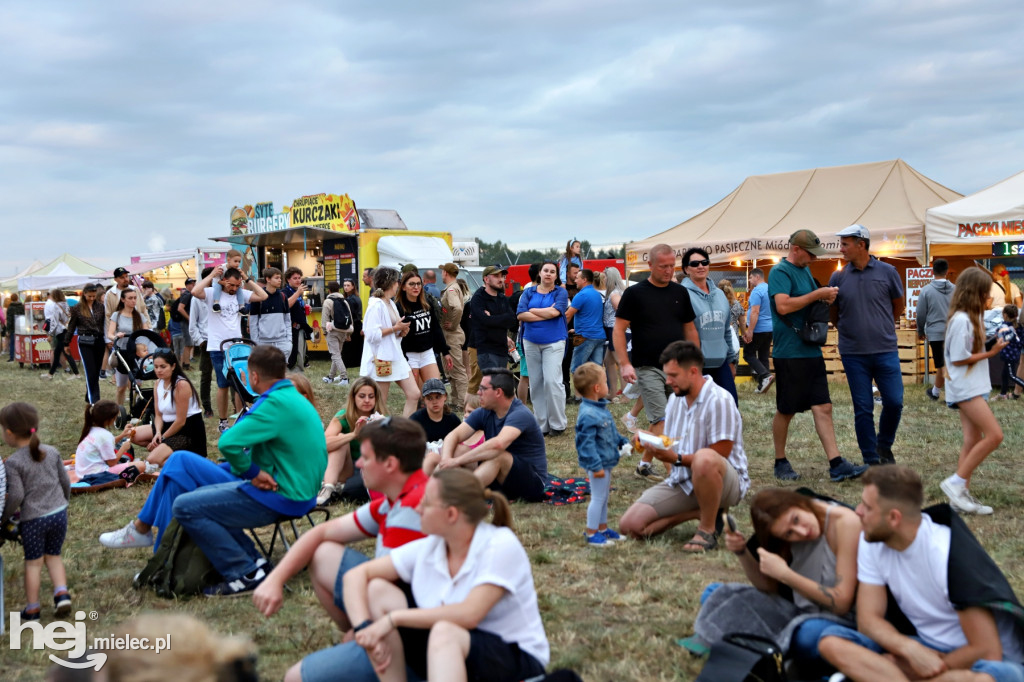 AIR SHOW MIELEC - WIDOWNIA