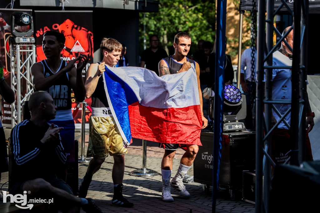 GPPH&MSB Bitwa o Dziedziniec