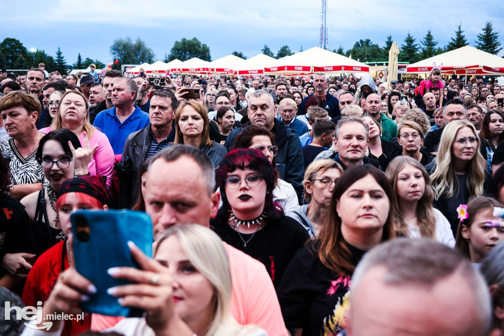 Koncert zespołu IRA w Radomyślu Wielkim