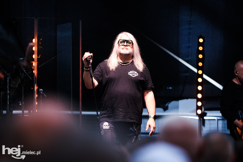 Koncert zespołu IRA w Radomyślu Wielkim
