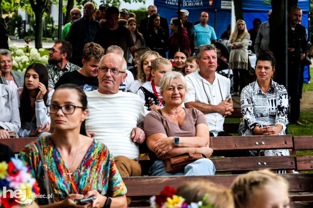 Miesiąc Kultury Borowskiej - muzyczna biesiada