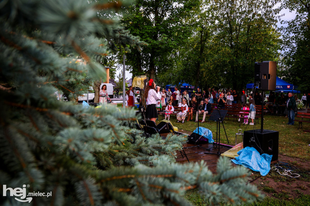 Miesiąc Kultury Borowskiej - muzyczna biesiada