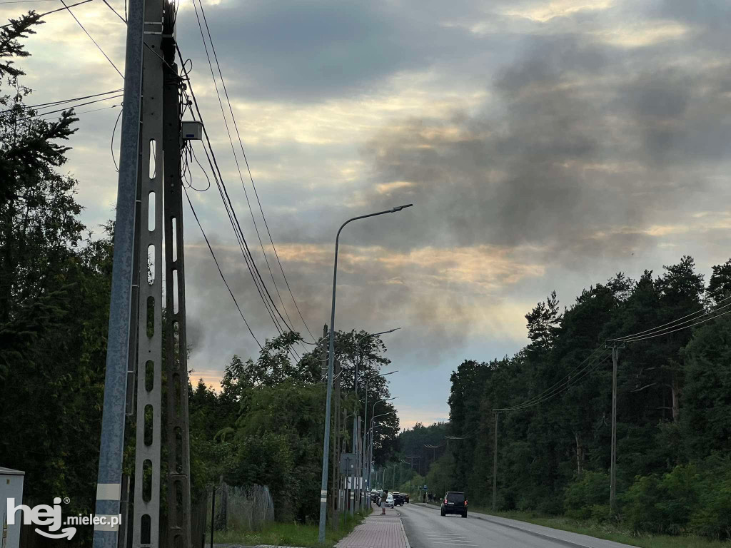 Pożar przy ulicy Królowej Jadwigi