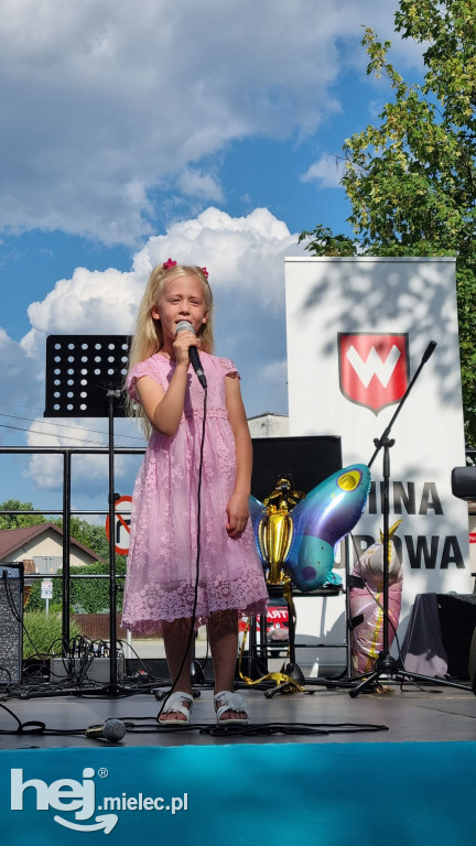 Dziecięce Party w Borowej