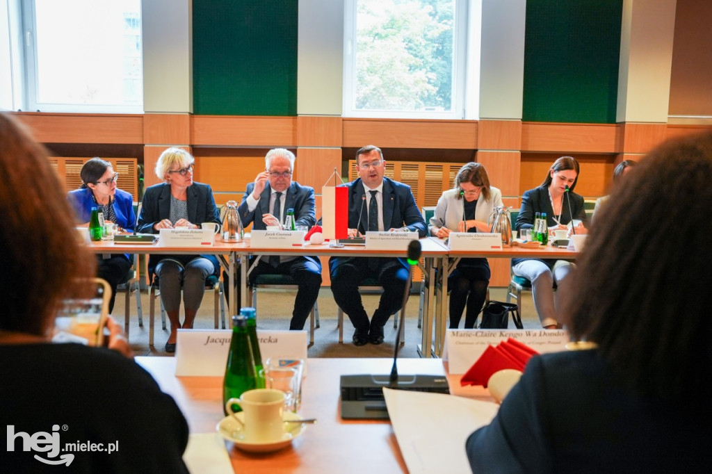 Delegacja z Konga w Mielcu i powiecie mieleckim