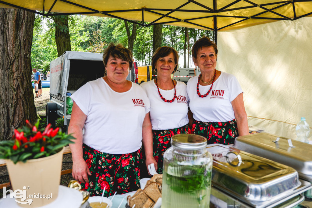 II Gminny Piknik Rodzinny w Gawłuszowicach