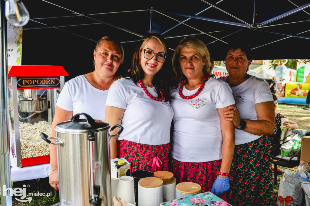 II Gminny Piknik Rodzinny w Gawłuszowicach