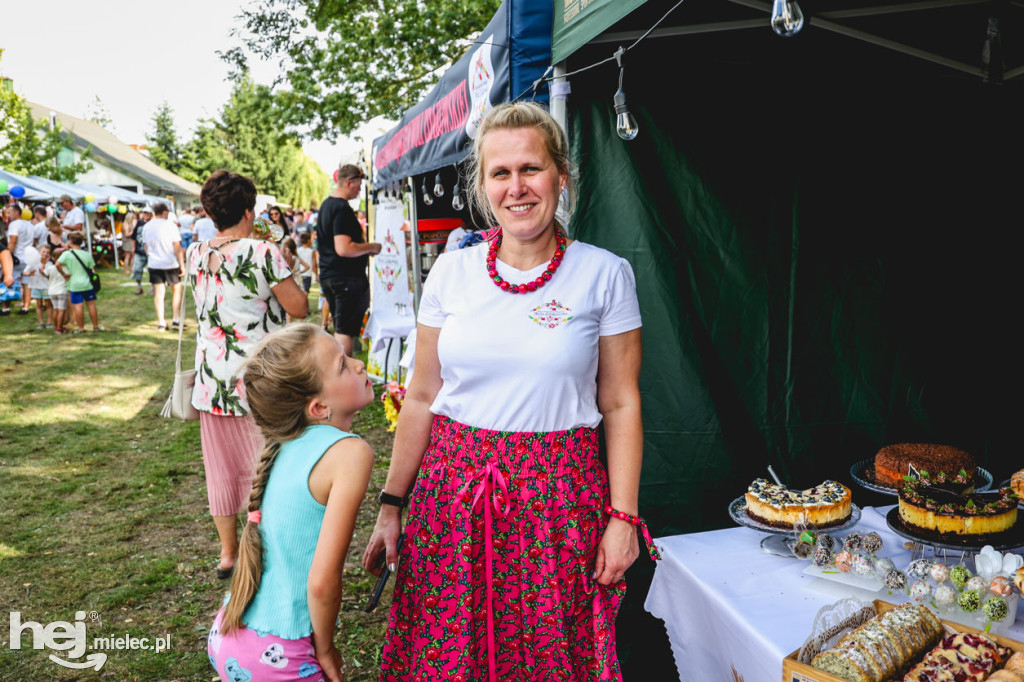 II Gminny Piknik Rodzinny w Gawłuszowicach