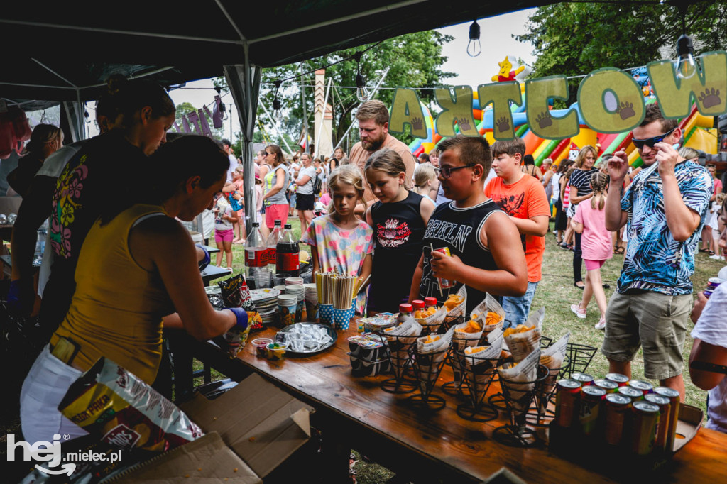II Gminny Piknik Rodzinny w Gawłuszowicach