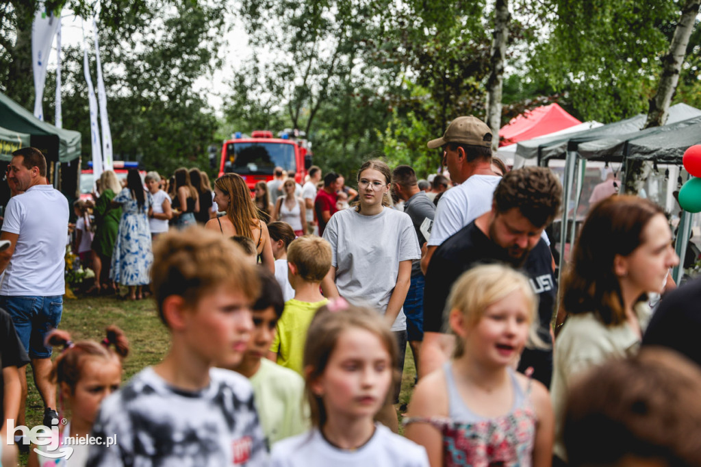 II Gminny Piknik Rodzinny w Gawłuszowicach