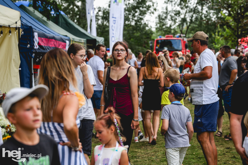 II Gminny Piknik Rodzinny w Gawłuszowicach